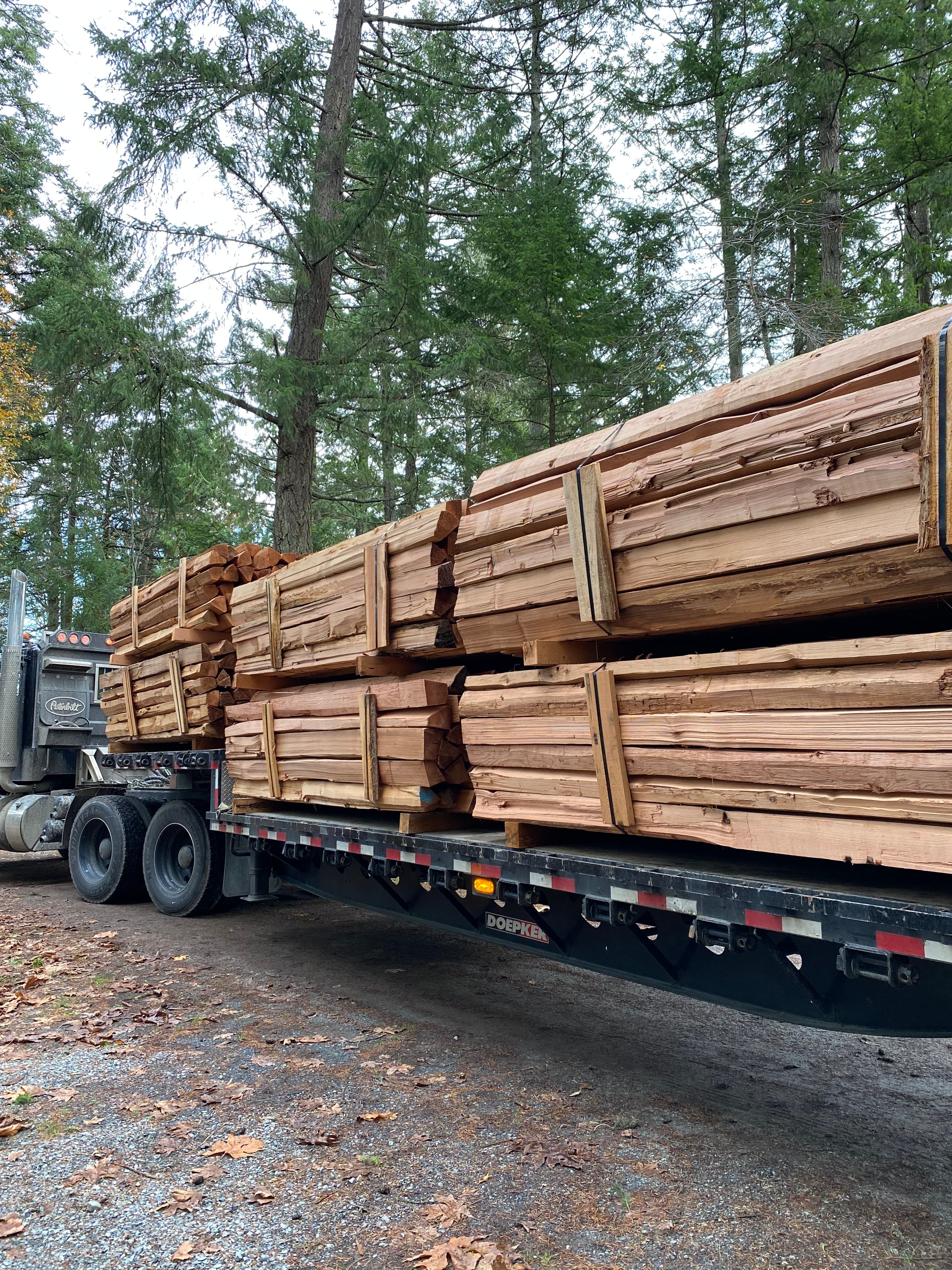 8-Foot Cedar Rails
